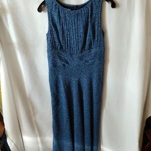 Talbots Silk Dress 8